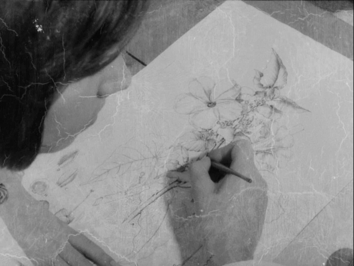 Entrevista a Leandro Listorti por Paulo Pécora